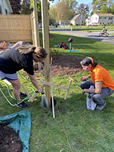 Working_on_fence_photo